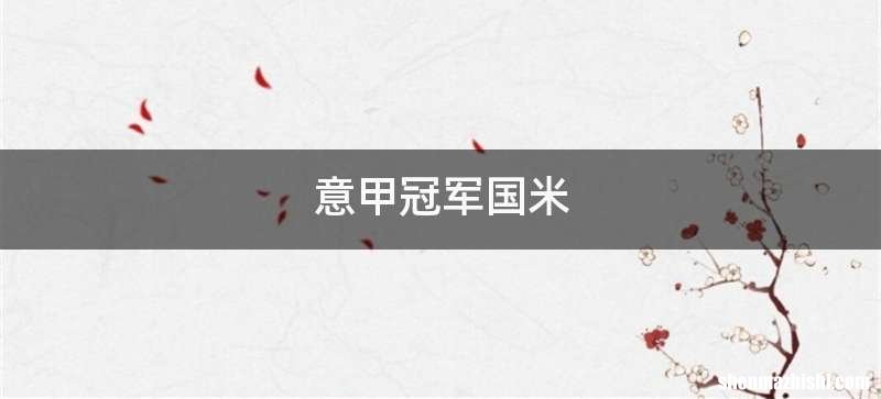 意甲冠军国米