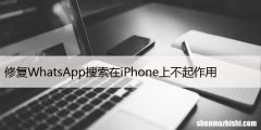 修复WhatsApp搜索在iPhone上不起作用，6大方法