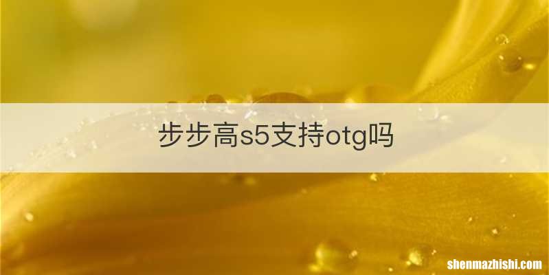 步步高s5支持otg吗