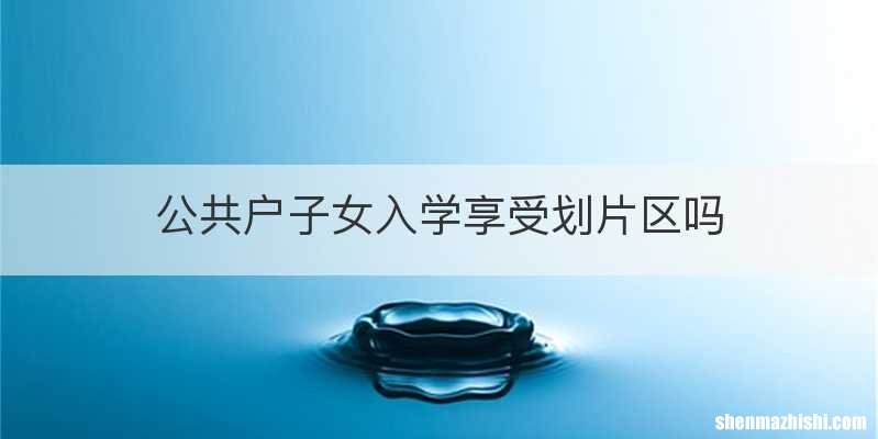 公共户子女入学享受划片区吗