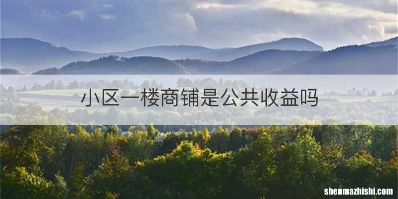 小区一楼商铺是公共收益吗