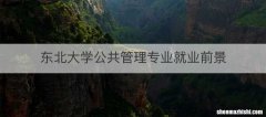 东北大学公共管理专业就业前景