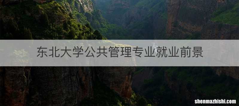 东北大学公共管理专业就业前景