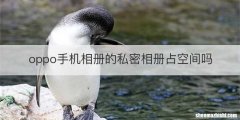 oppo手机相册的私密相册占空间吗