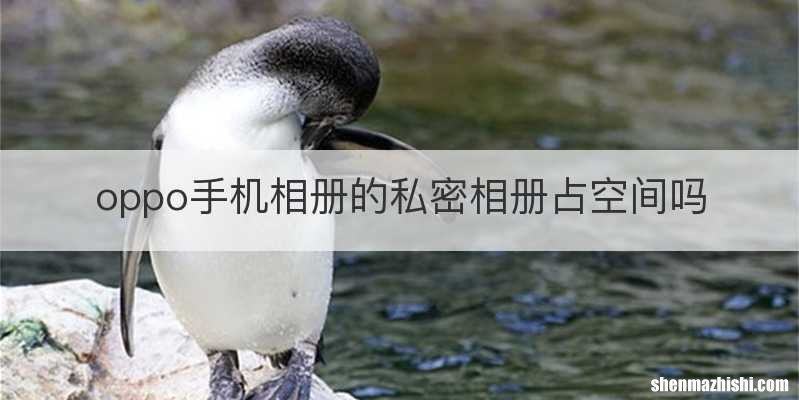 oppo手机相册的私密相册占空间吗