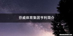 芬威体育集团亨利简介