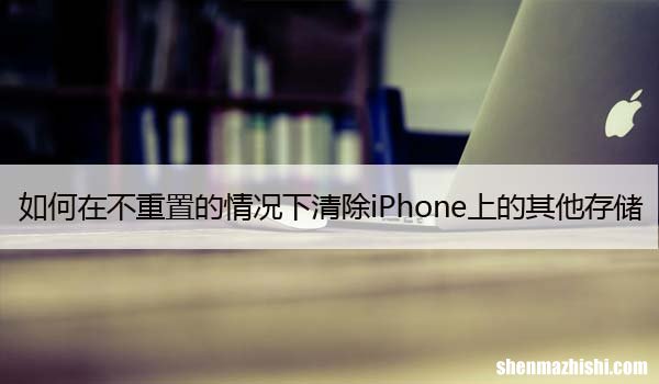 如何在不重置的情况下清除iPhone上的其他存储