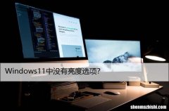 Windows11中没有亮度选项？尝试这些修复