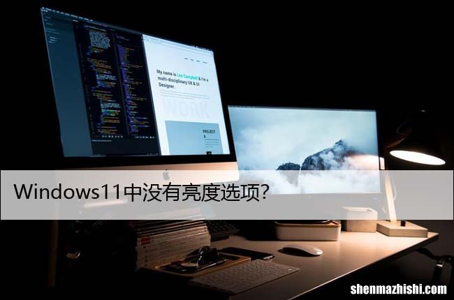 Windows11中没有亮度选项？尝试这些修复
