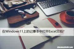 修复：在Windows11上的记事本中打开Excel文档？