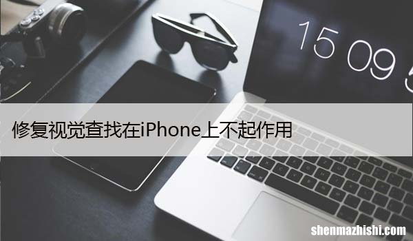 修复视觉查找在iPhone上不起作用，6 种方法