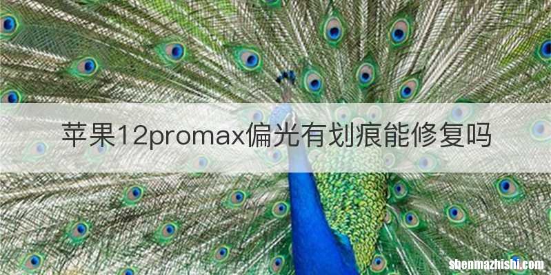 苹果12promax偏光有划痕能修复吗