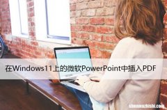 在Windows11上的微软PowerPoint中插入PDF