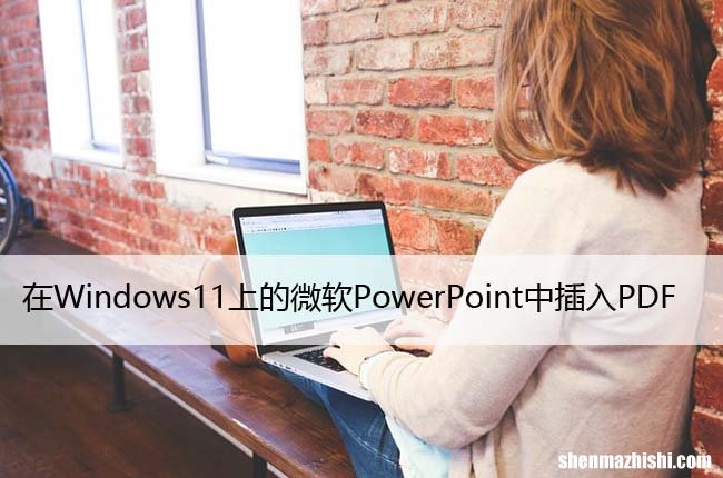在Windows11上的微软PowerPoint中插入PDF