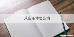 从业条件怎么填