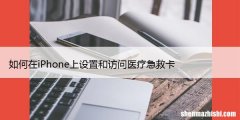 如何在iPhone上设置和访问医疗急救卡