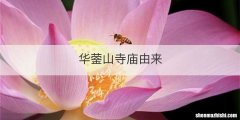 华蓥山寺庙由来
