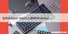 如何在Apple Watch上使用WhatsApp，一文教你看懂