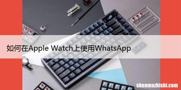 如何在Apple Watch上使用WhatsApp，一文教你看懂