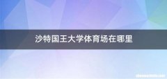 沙特国王大学体育场在哪里