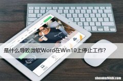 如何修复微软Word在Windows10上停止工作？