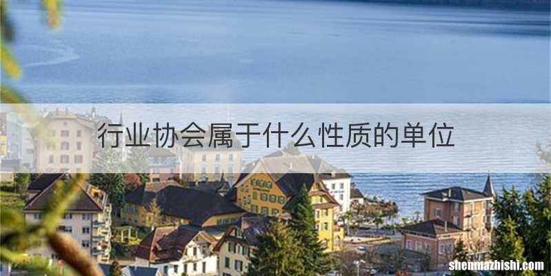 行业协会属于什么性质的单位
