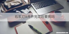石灰灯9月开完花后要剪吗