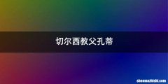切尔西教父孔蒂