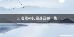 贝老黑vs托雷基亚哪一集