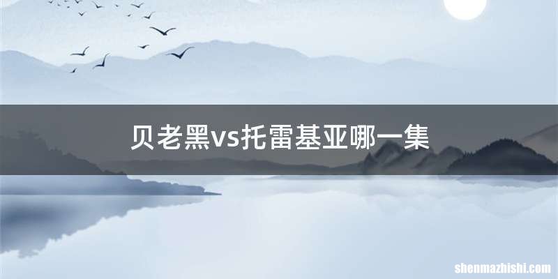 贝老黑vs托雷基亚哪一集