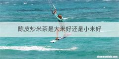陈皮炒米茶是大米好还是小米好