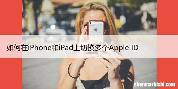 如何在iPhone和iPad上切换多个Apple ID