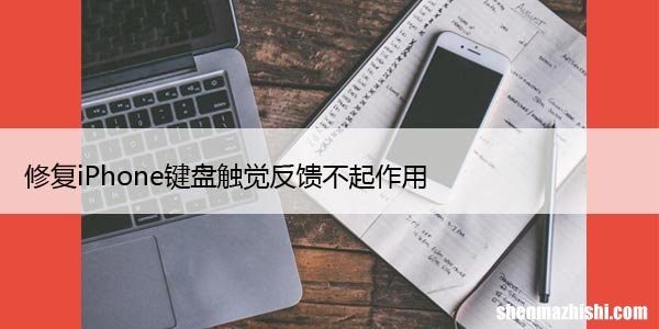 修复iPhone键盘触觉反馈不起作用，5种方法