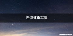世俱杯季军赛
