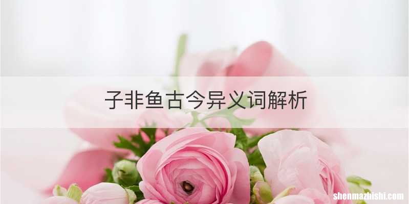 子非鱼古今异义词解析