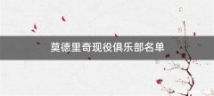 莫德里奇现役俱乐部名单