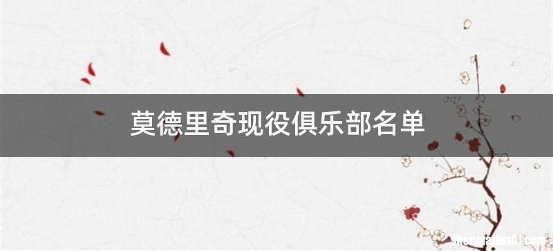 莫德里奇现役俱乐部名单