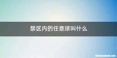 禁区内的任意球叫什么