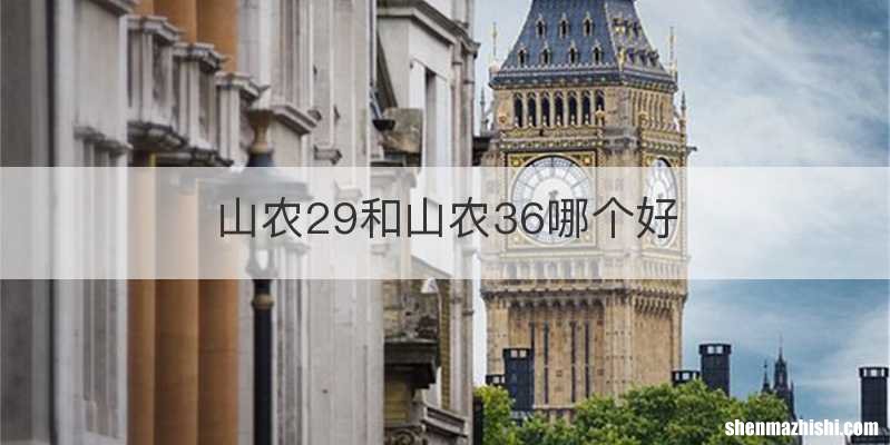 山农29和山农36哪个好
