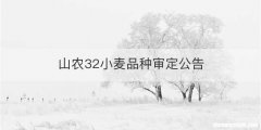 山农32小麦品种审定公告