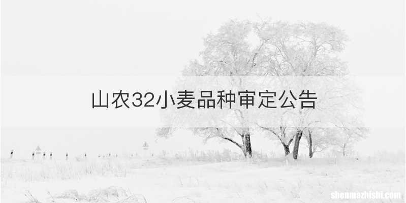 山农32小麦品种审定公告