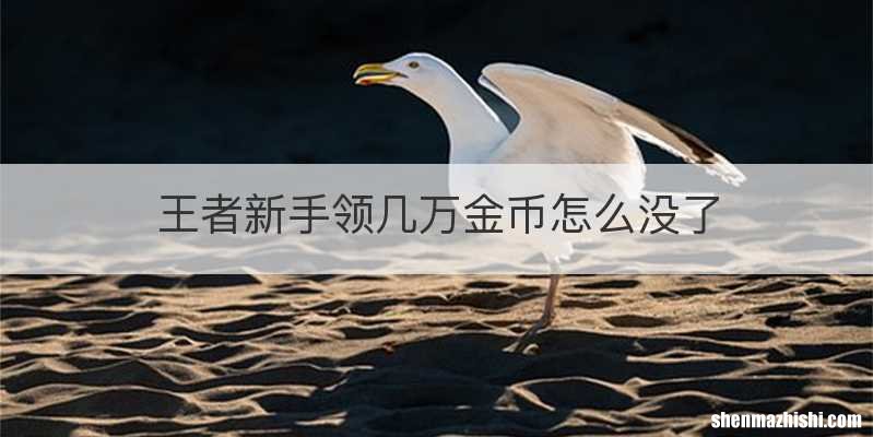 王者新手领几万金币怎么没了