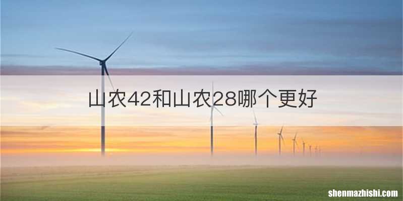 山农42和山农28哪个更好