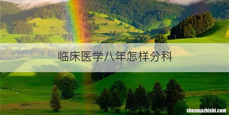 临床医学八年怎样分科