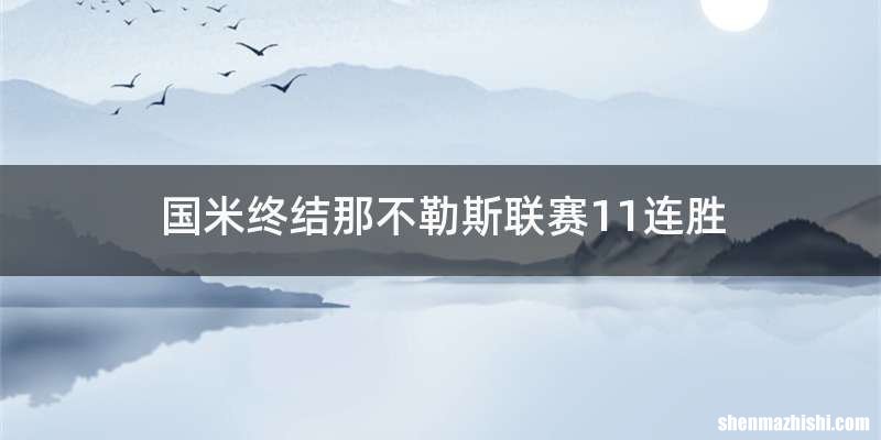 国米终结那不勒斯联赛11连胜