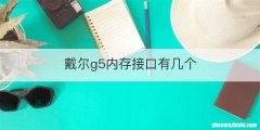 戴尔g5内存接口有几个