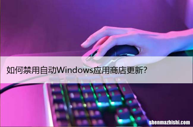 如何禁用自动Windows应用商店更新？