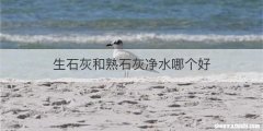 生石灰和熟石灰净水哪个好