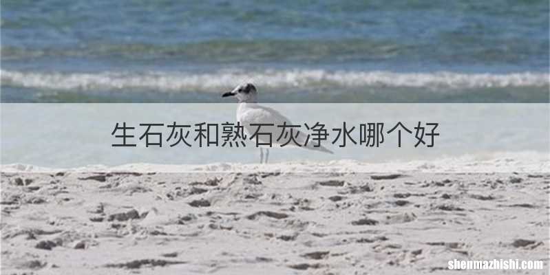 生石灰和熟石灰净水哪个好