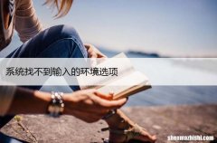 系统找不到输入的环境选项，修复Windows系统